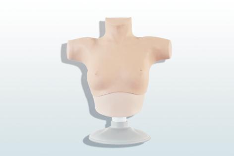 乳腺癌觸診、視診訓(xùn)練模型